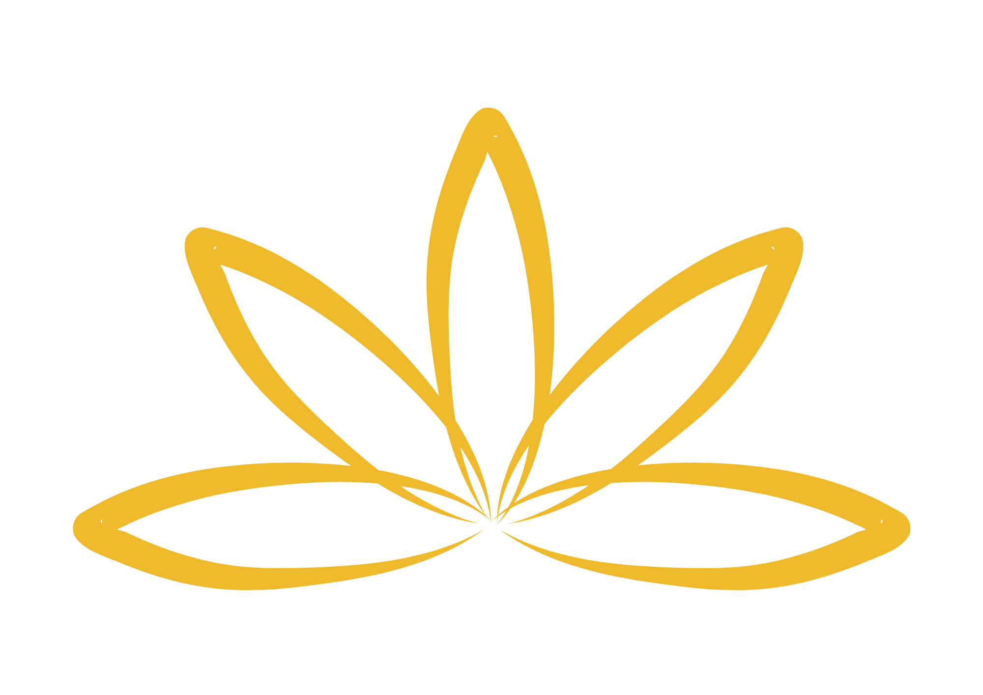 Mindfulness Graphics